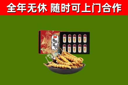 河源市回收冬虫夏草价格