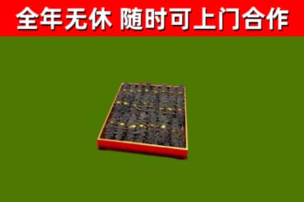 河源市回收海参